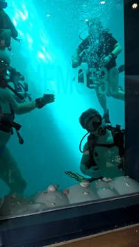 wp_20160320_13_53_54_pro.jpg